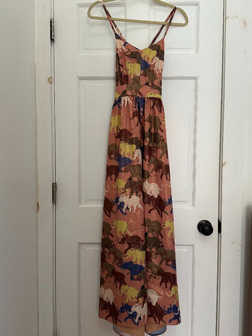 Animal Print Maxi Dress